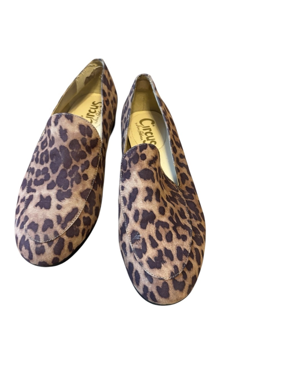 Circus by Sam Edelman Leopard Print Slip-On Loafer in Brown and Black